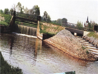 eW(wng)ȏ4